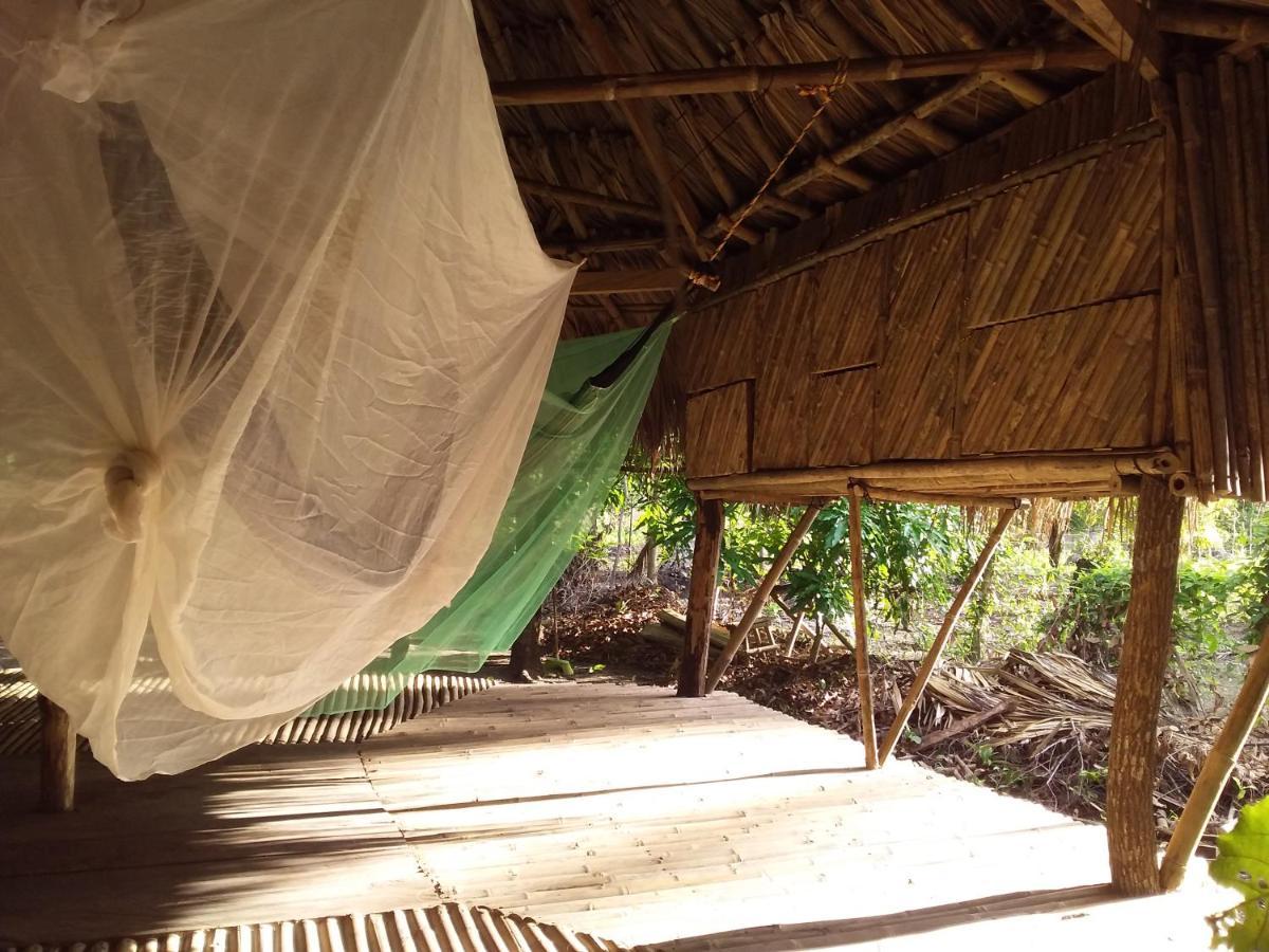 Eco-Camping Mango Feliz Rincon Del Mar San Onofre エクステリア 写真