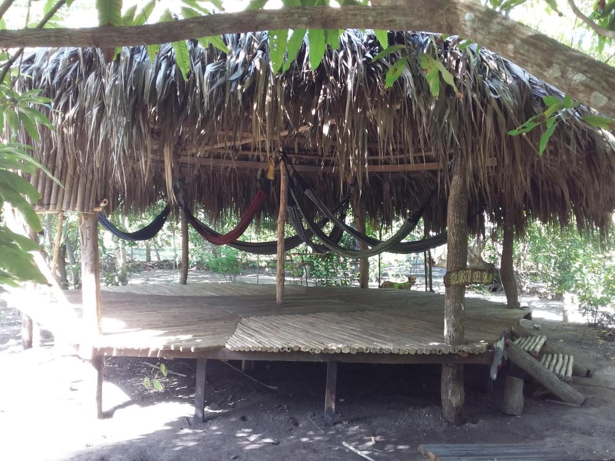 Eco-Camping Mango Feliz Rincon Del Mar San Onofre エクステリア 写真