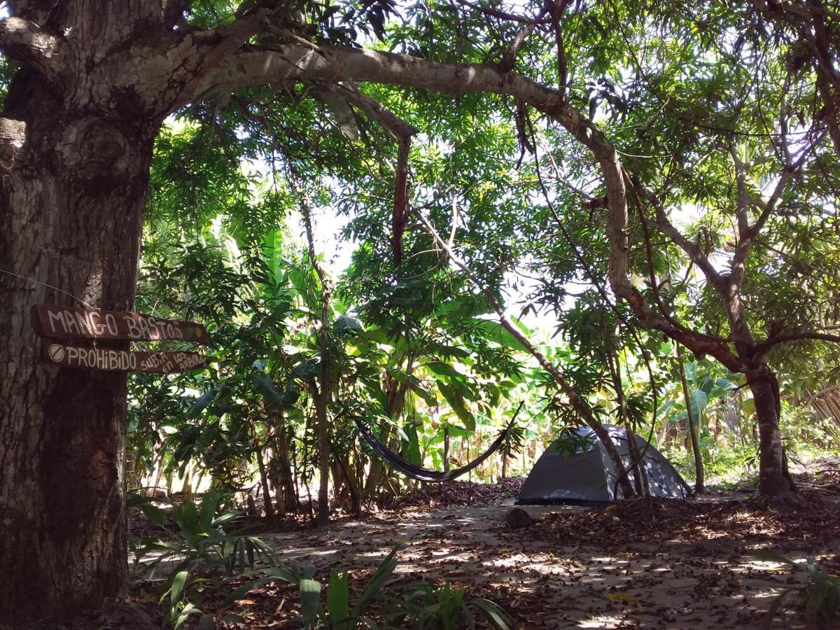 Eco-Camping Mango Feliz Rincon Del Mar San Onofre エクステリア 写真