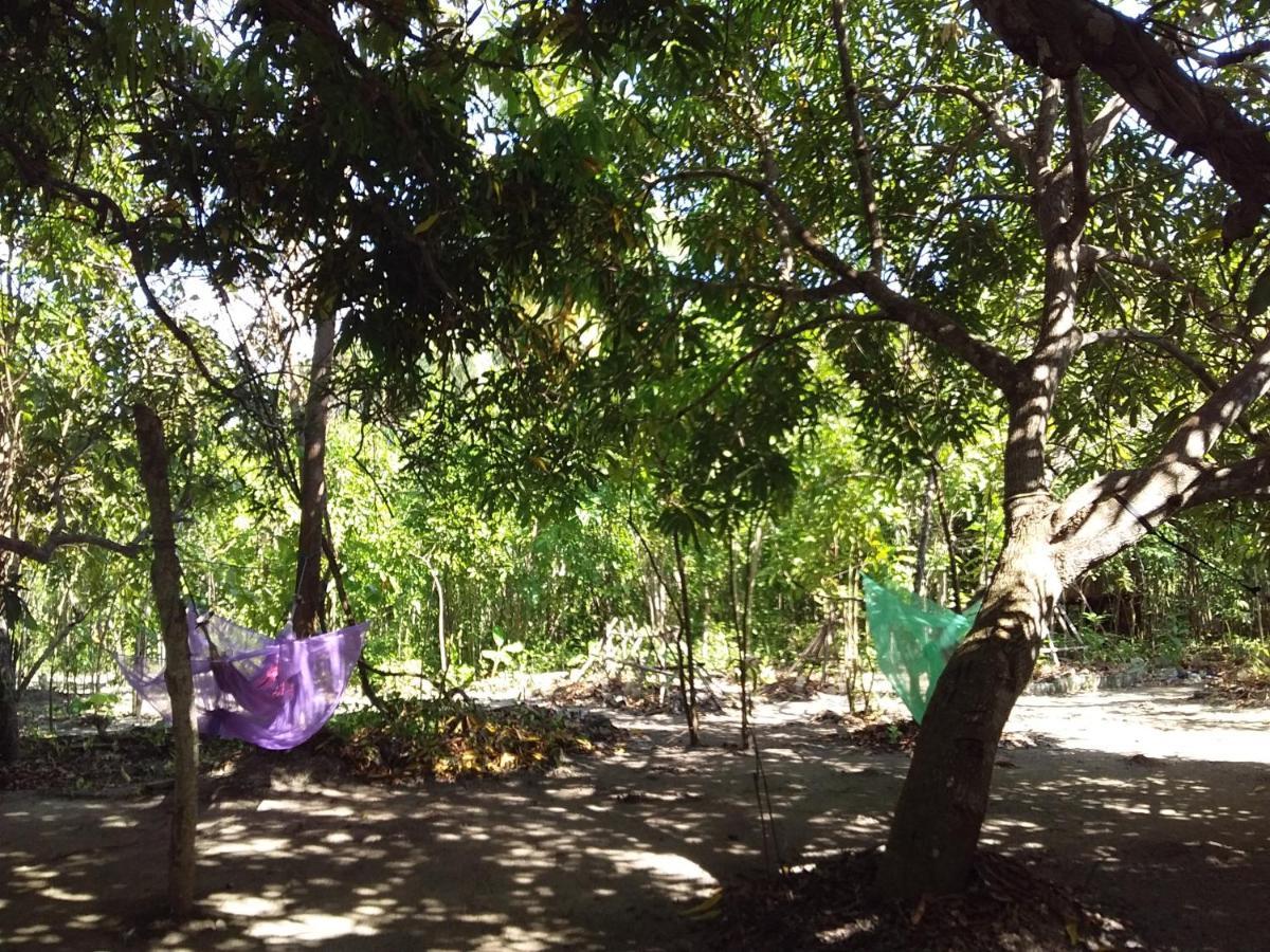 Eco-Camping Mango Feliz Rincon Del Mar San Onofre エクステリア 写真