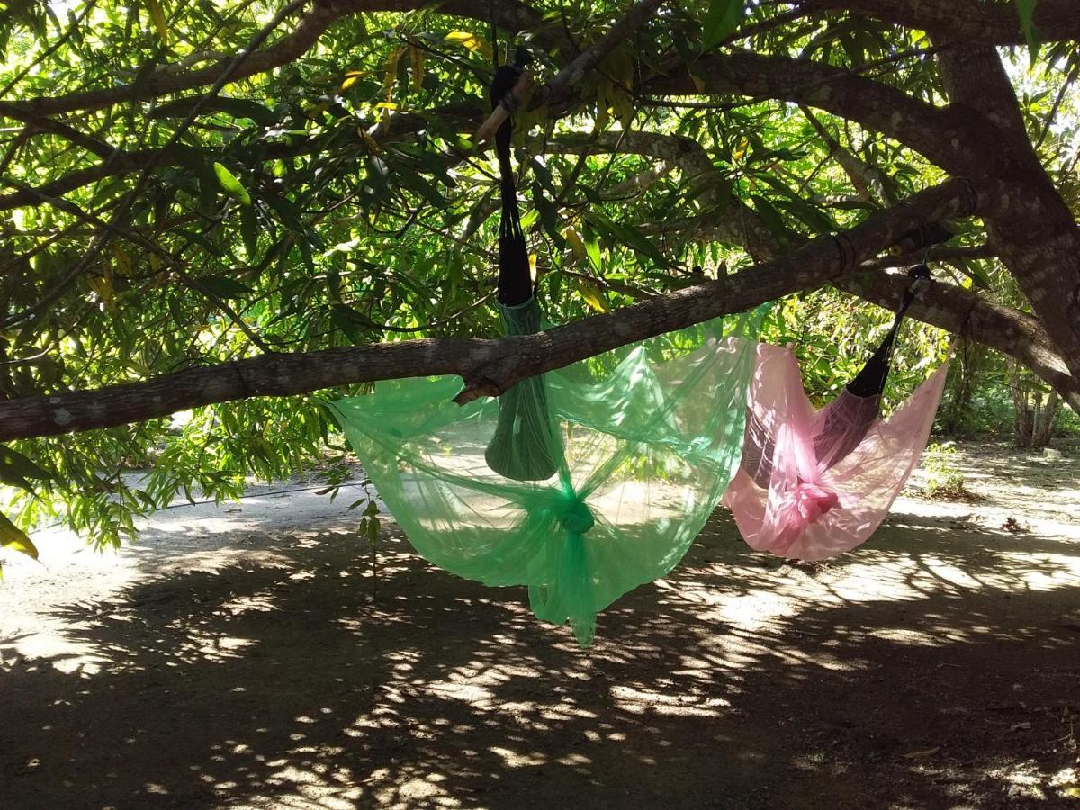 Eco-Camping Mango Feliz Rincon Del Mar San Onofre エクステリア 写真
