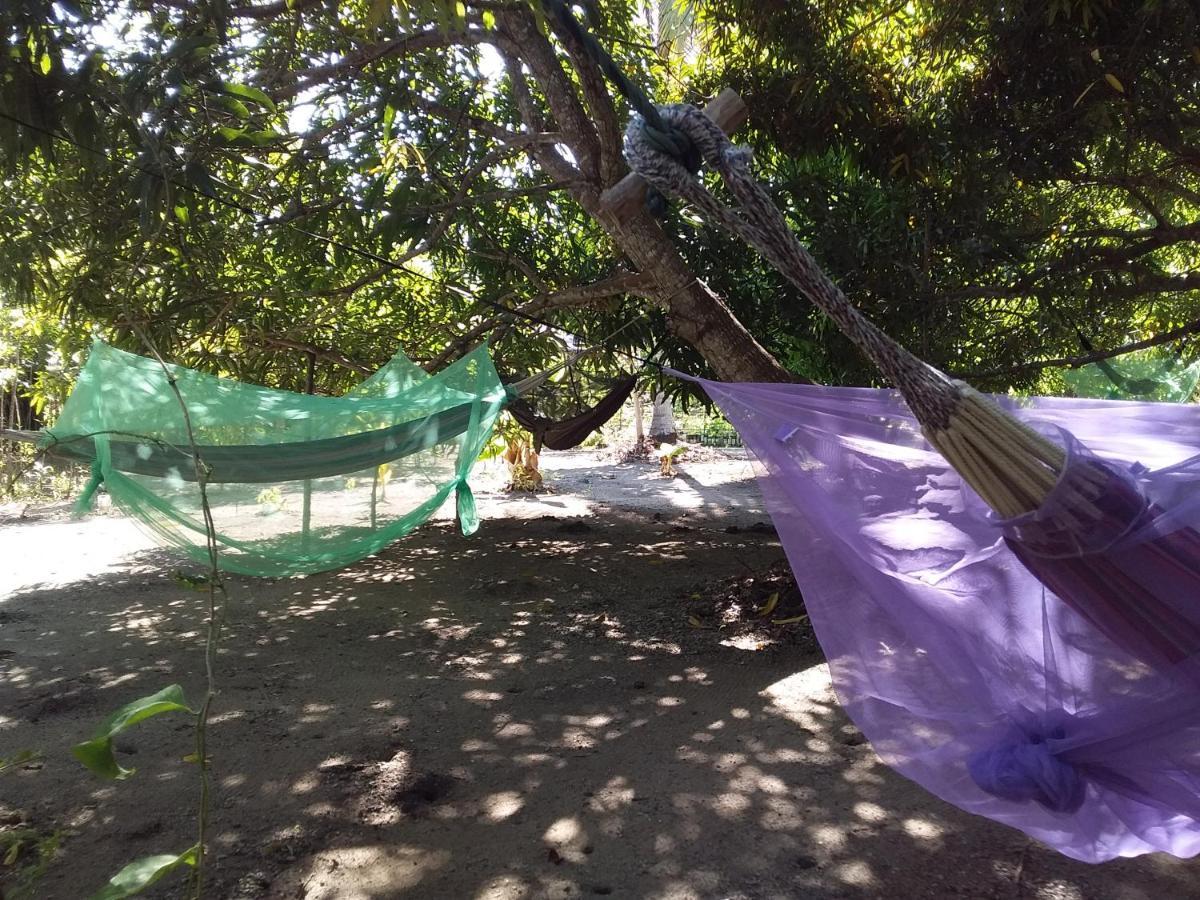Eco-Camping Mango Feliz Rincon Del Mar San Onofre エクステリア 写真