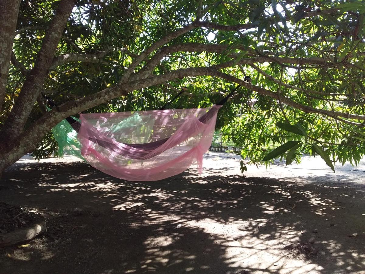 Eco-Camping Mango Feliz Rincon Del Mar San Onofre エクステリア 写真