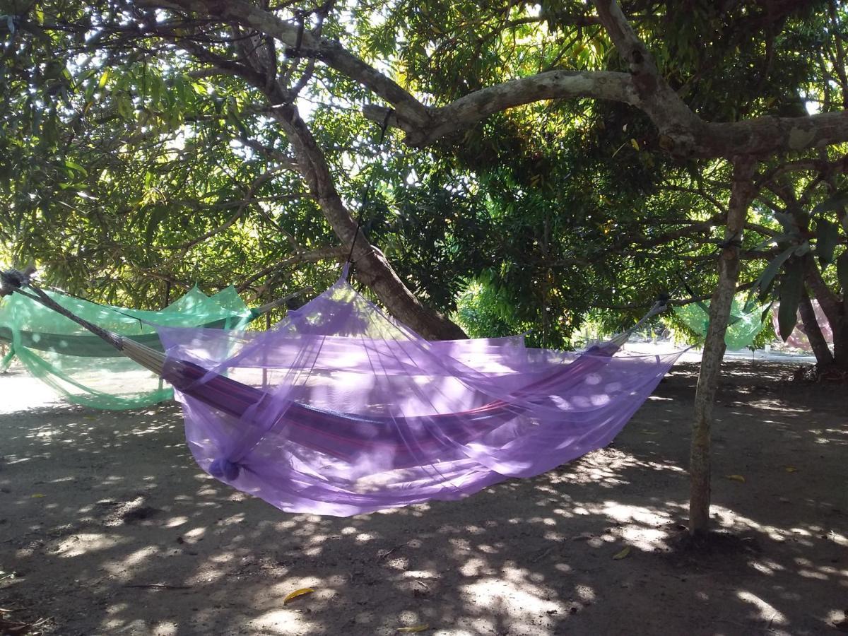 Eco-Camping Mango Feliz Rincon Del Mar San Onofre エクステリア 写真