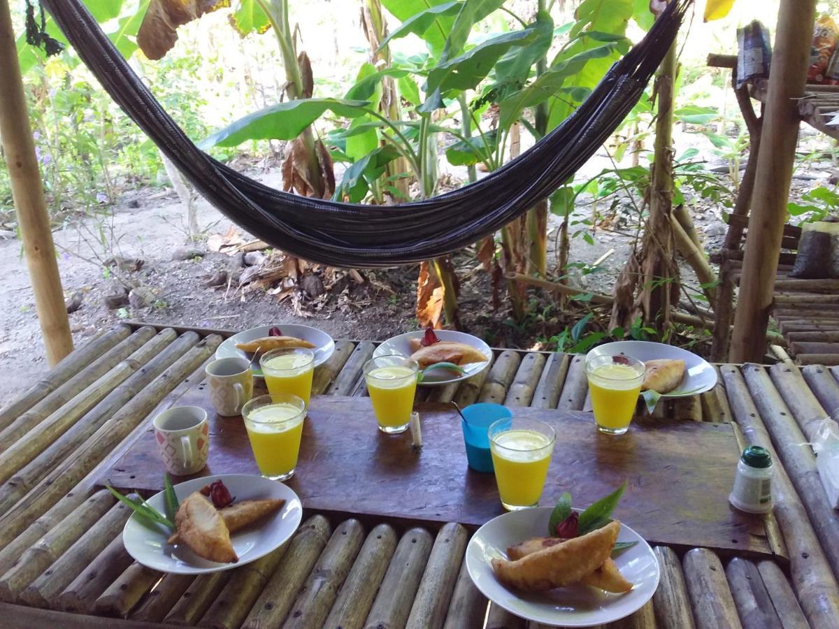 Eco-Camping Mango Feliz Rincon Del Mar San Onofre エクステリア 写真
