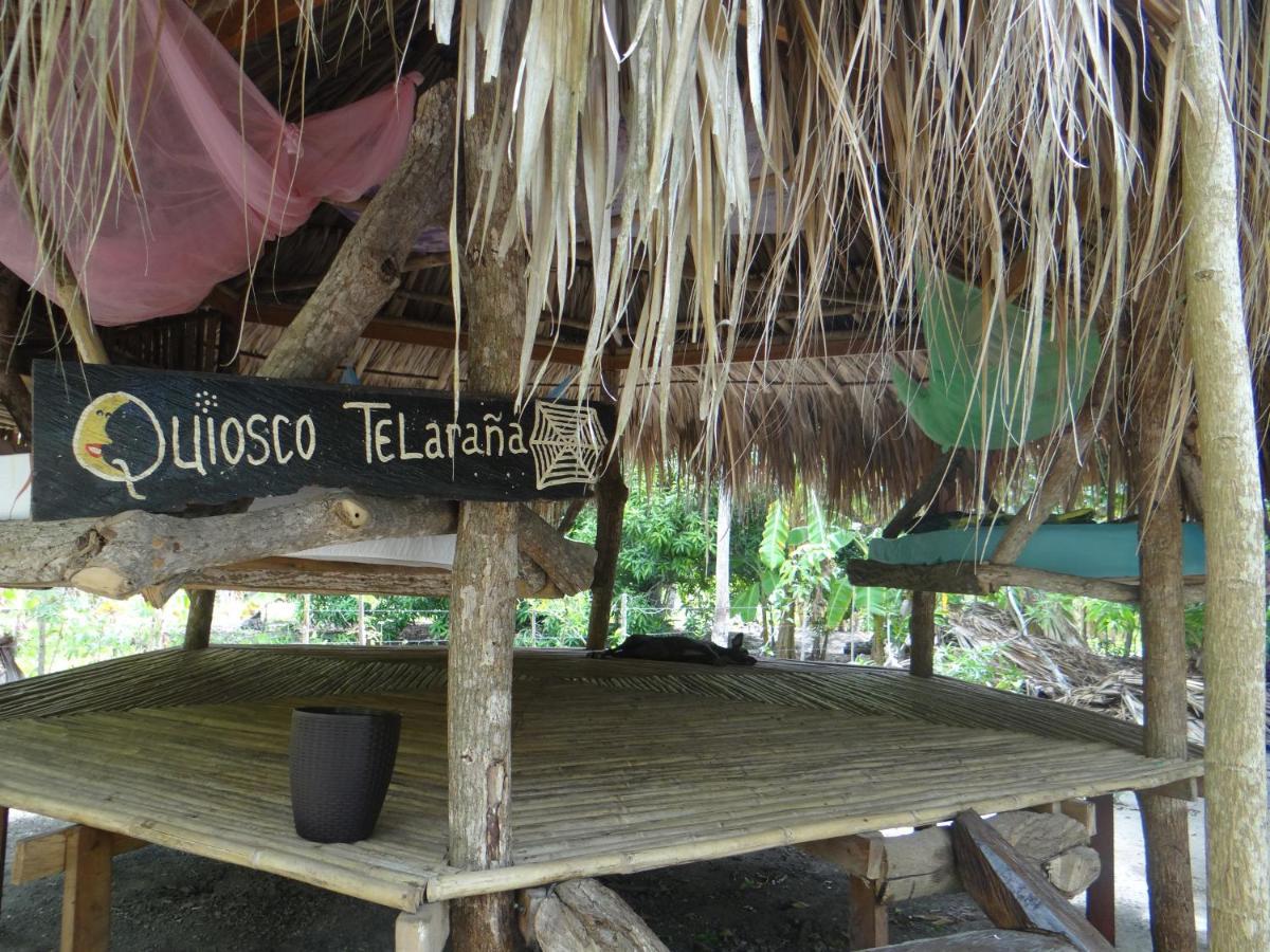 Eco-Camping Mango Feliz Rincon Del Mar San Onofre エクステリア 写真