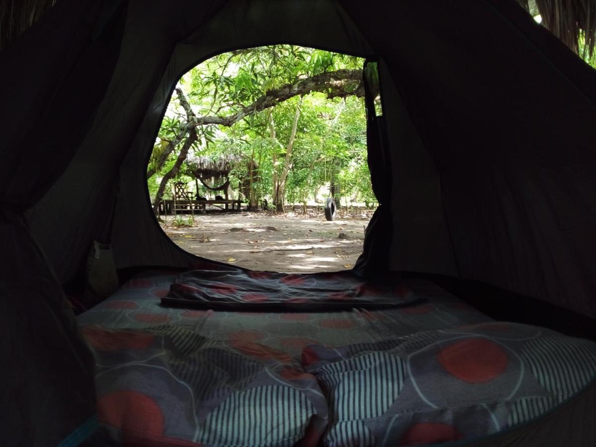 Eco-Camping Mango Feliz Rincon Del Mar San Onofre エクステリア 写真