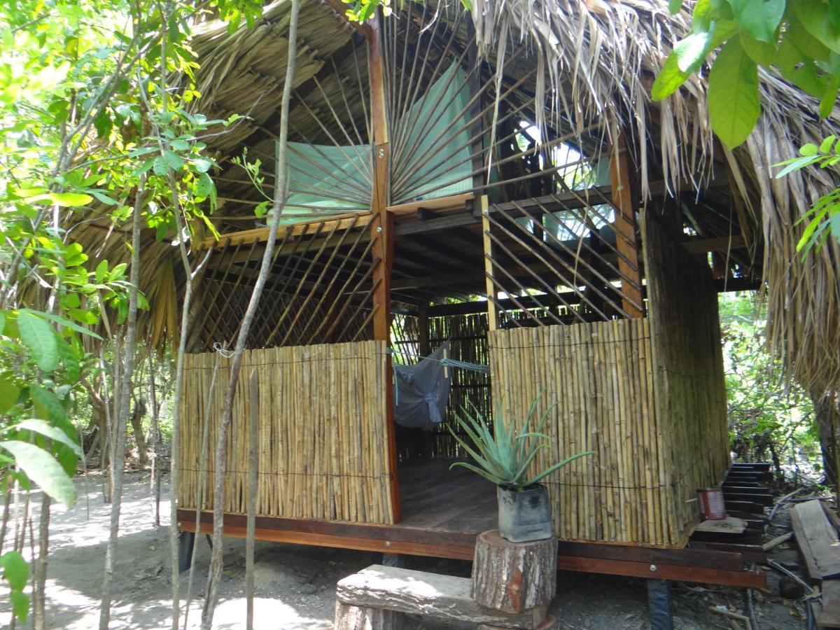 Eco-Camping Mango Feliz Rincon Del Mar San Onofre エクステリア 写真