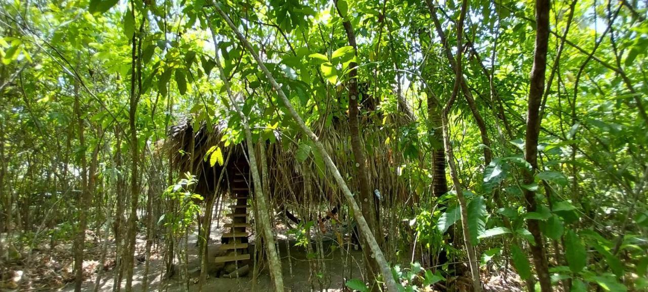 Eco-Camping Mango Feliz Rincon Del Mar San Onofre エクステリア 写真
