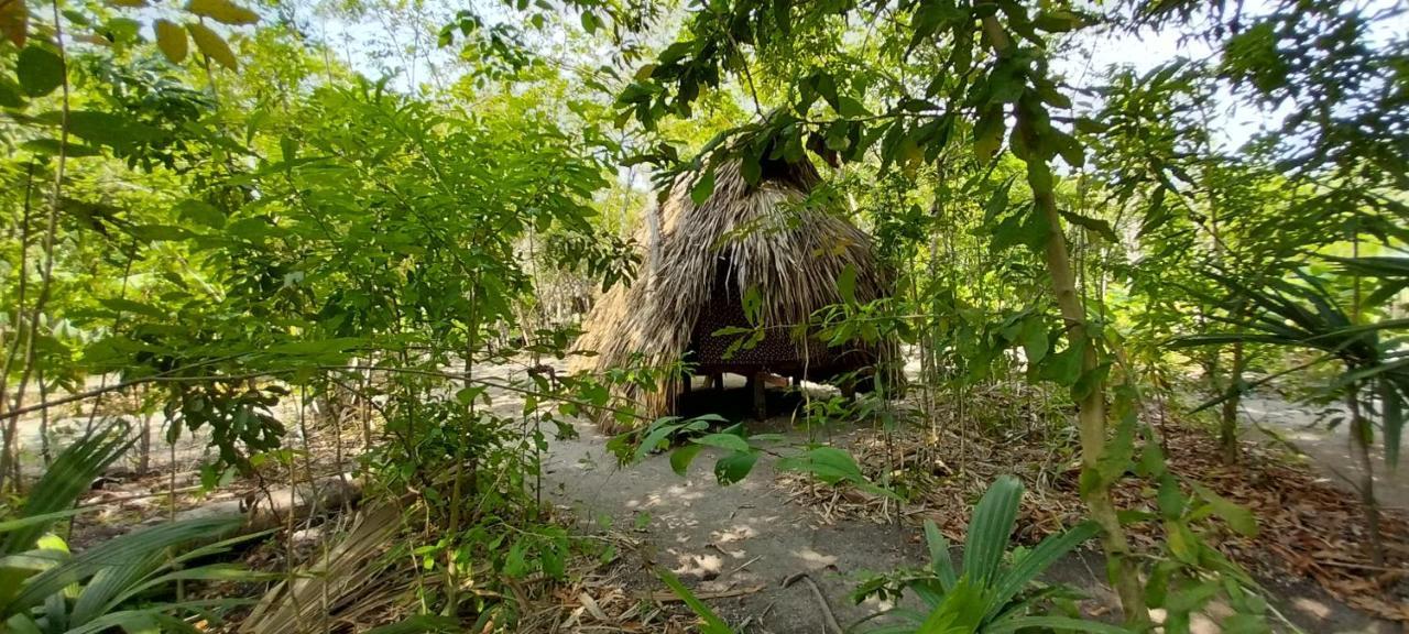 Eco-Camping Mango Feliz Rincon Del Mar San Onofre エクステリア 写真