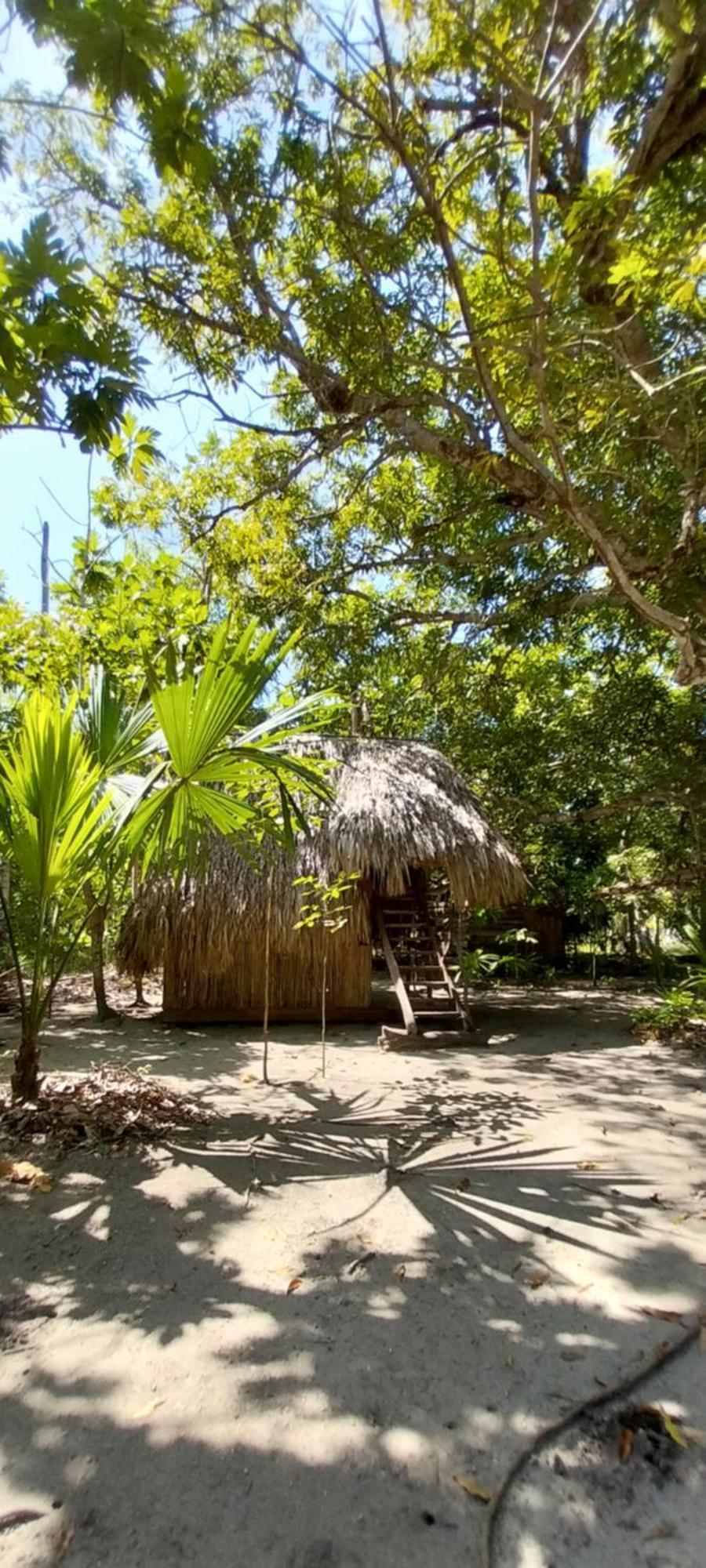Eco-Camping Mango Feliz Rincon Del Mar San Onofre エクステリア 写真