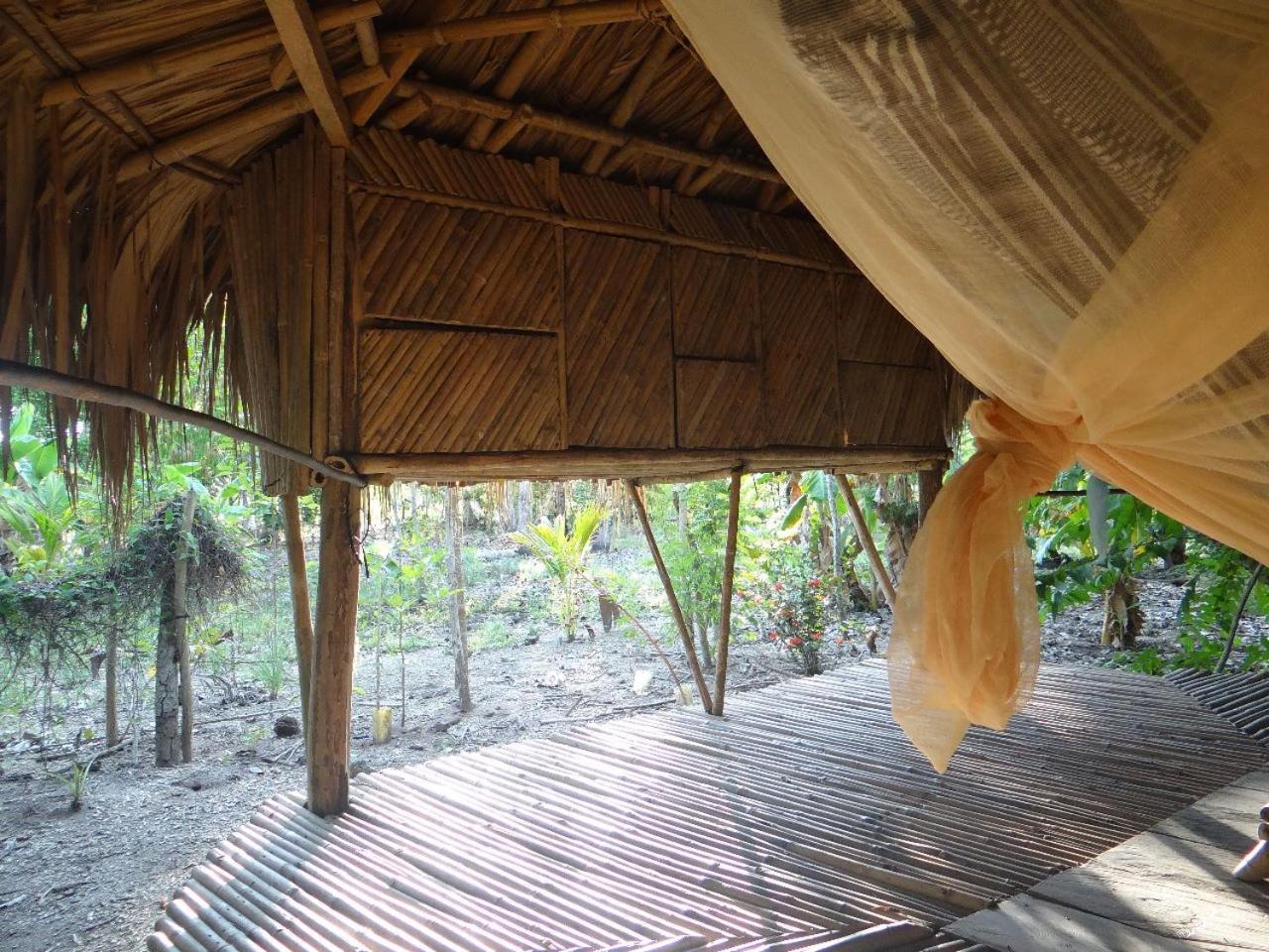 Eco-Camping Mango Feliz Rincon Del Mar San Onofre エクステリア 写真