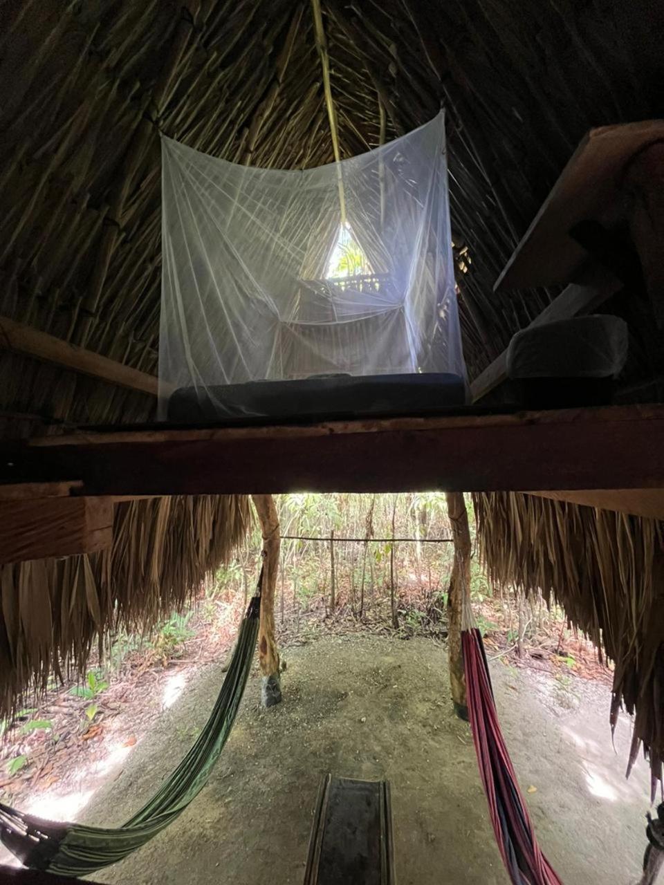 Eco-Camping Mango Feliz Rincon Del Mar San Onofre エクステリア 写真