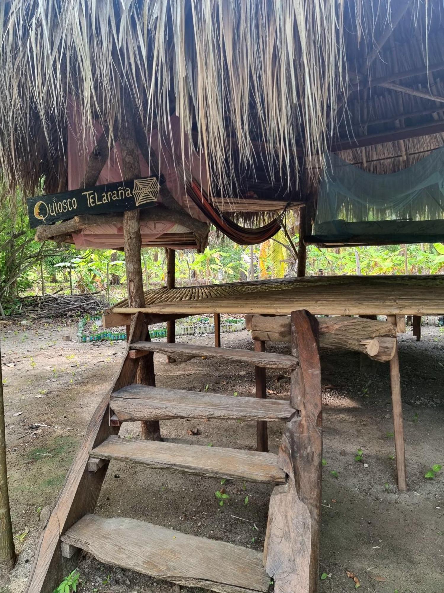 Eco-Camping Mango Feliz Rincon Del Mar San Onofre エクステリア 写真
