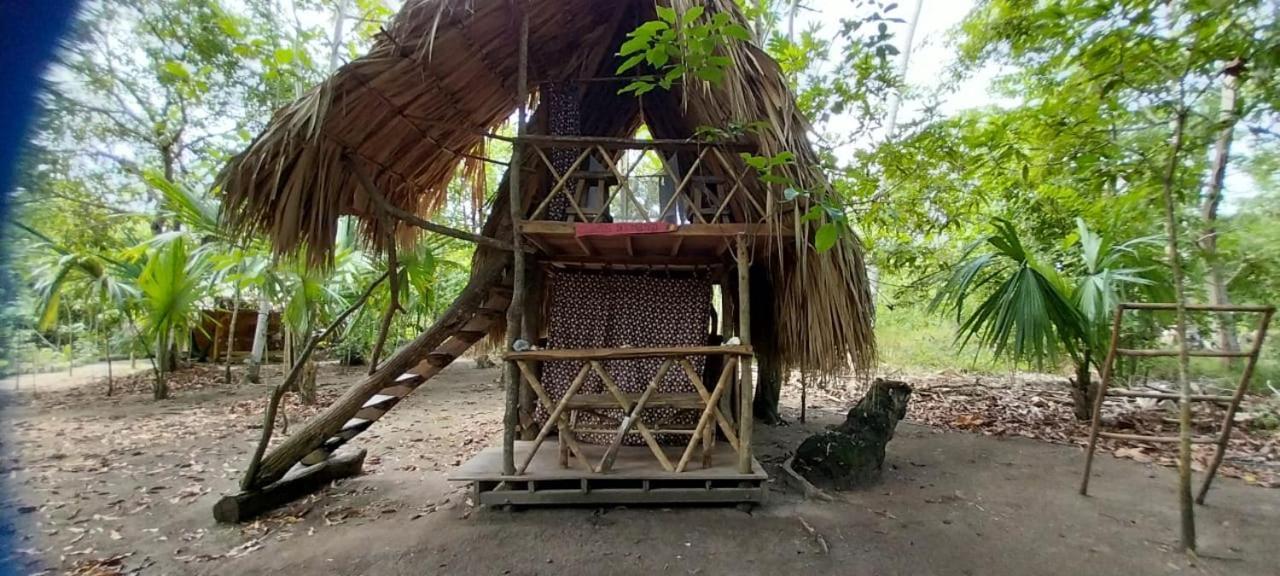 Eco-Camping Mango Feliz Rincon Del Mar San Onofre エクステリア 写真
