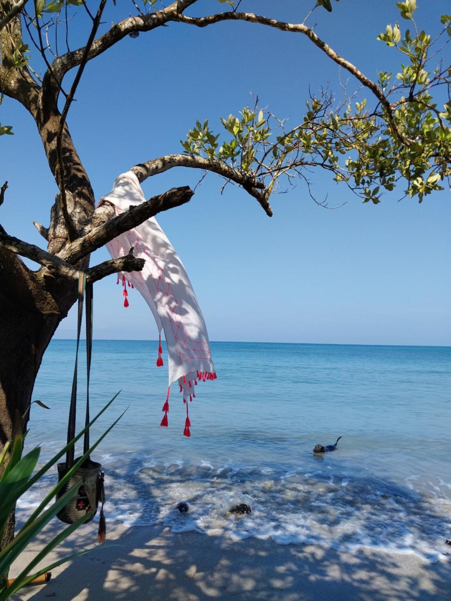 Eco-Camping Mango Feliz Rincon Del Mar San Onofre エクステリア 写真