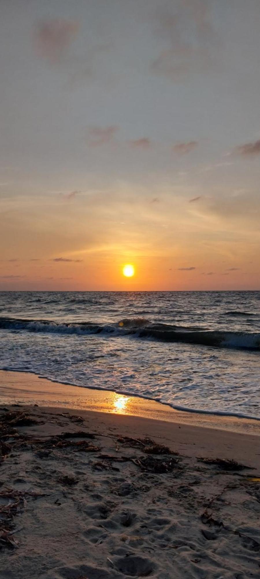 Eco-Camping Mango Feliz Rincon Del Mar San Onofre エクステリア 写真