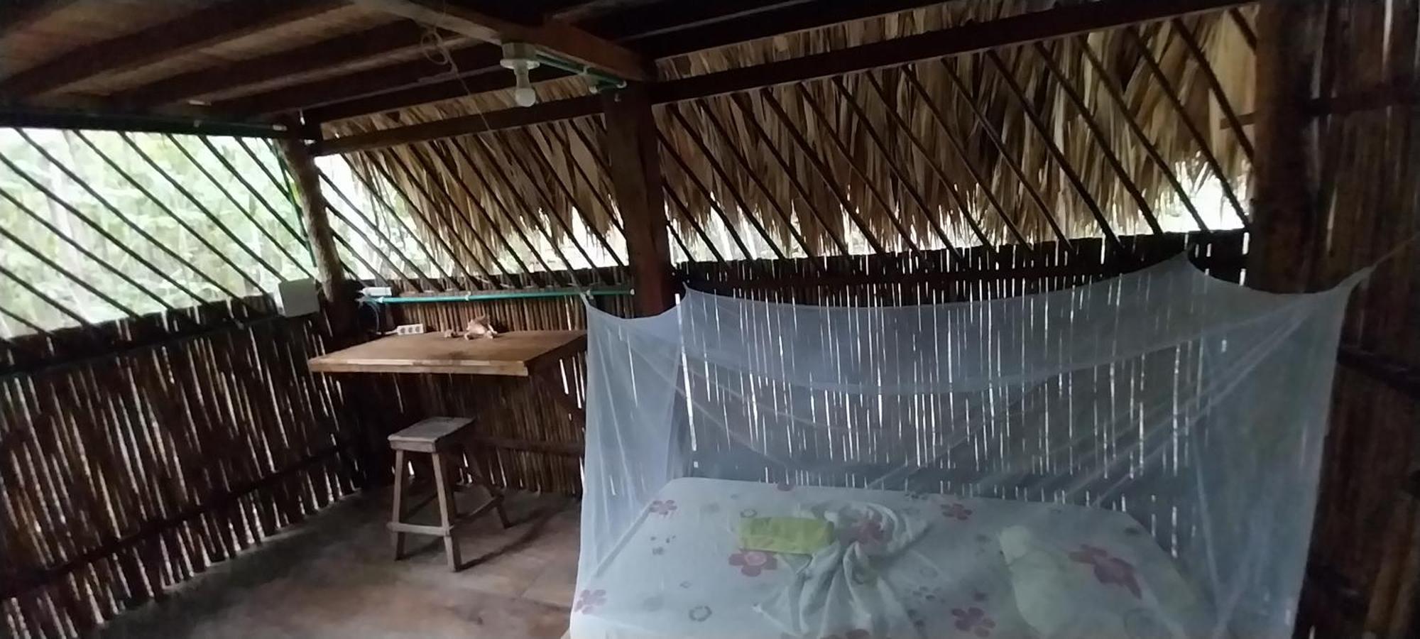 Eco-Camping Mango Feliz Rincon Del Mar San Onofre エクステリア 写真