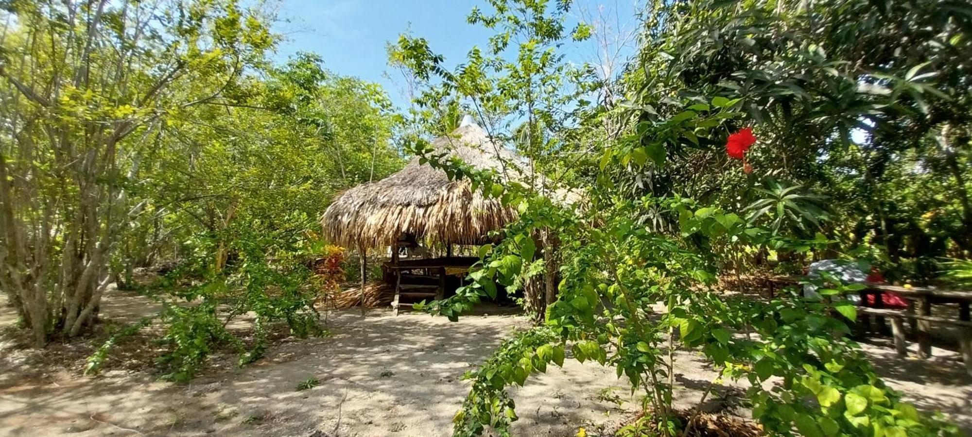 Eco-Camping Mango Feliz Rincon Del Mar San Onofre エクステリア 写真