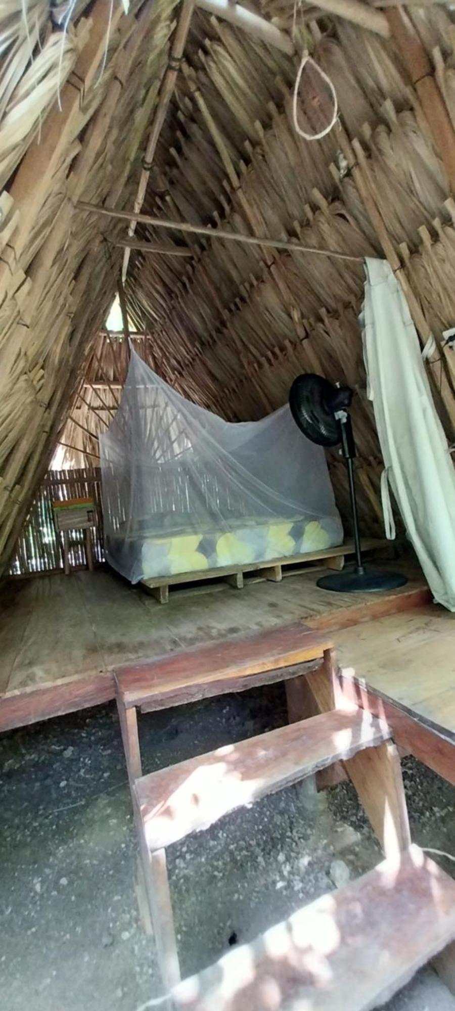 Eco-Camping Mango Feliz Rincon Del Mar San Onofre エクステリア 写真