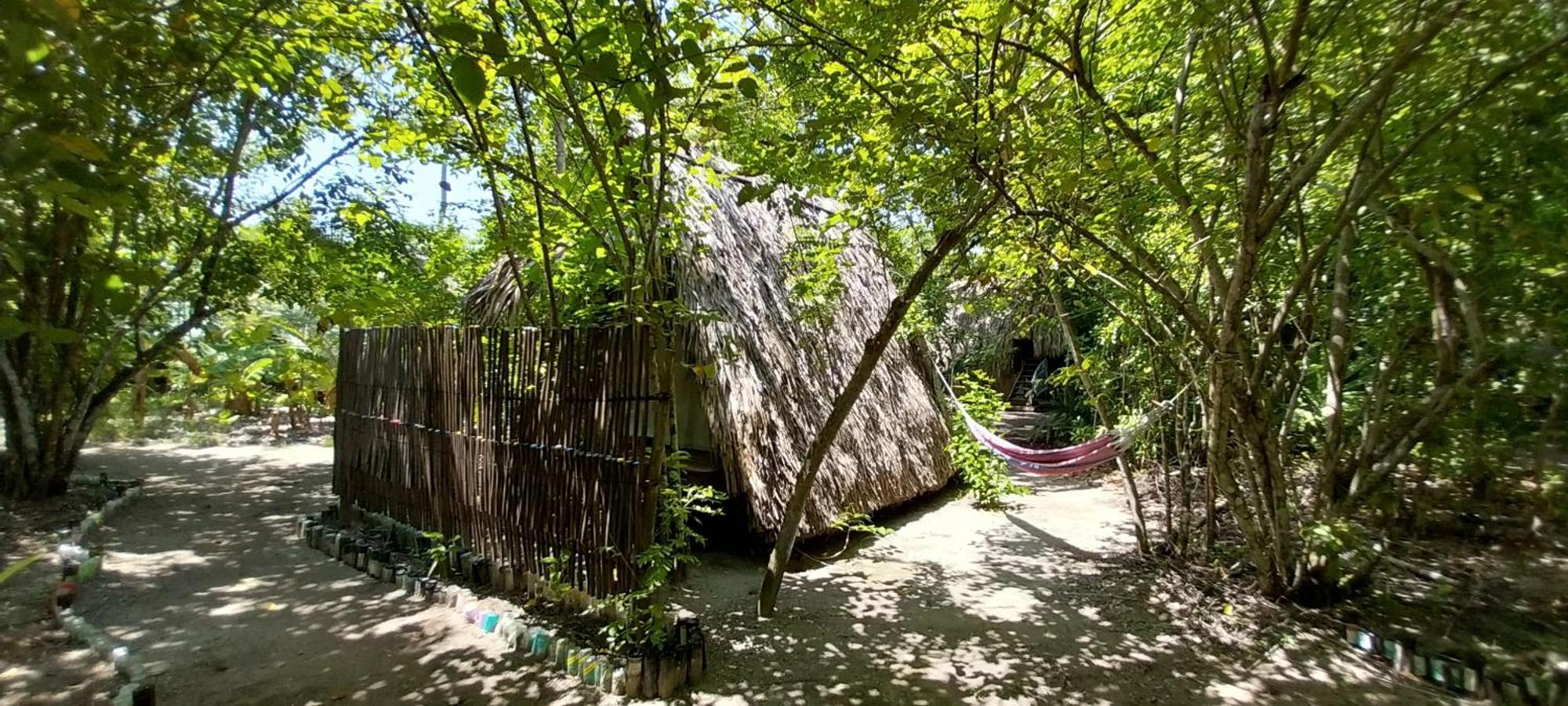 Eco-Camping Mango Feliz Rincon Del Mar San Onofre エクステリア 写真