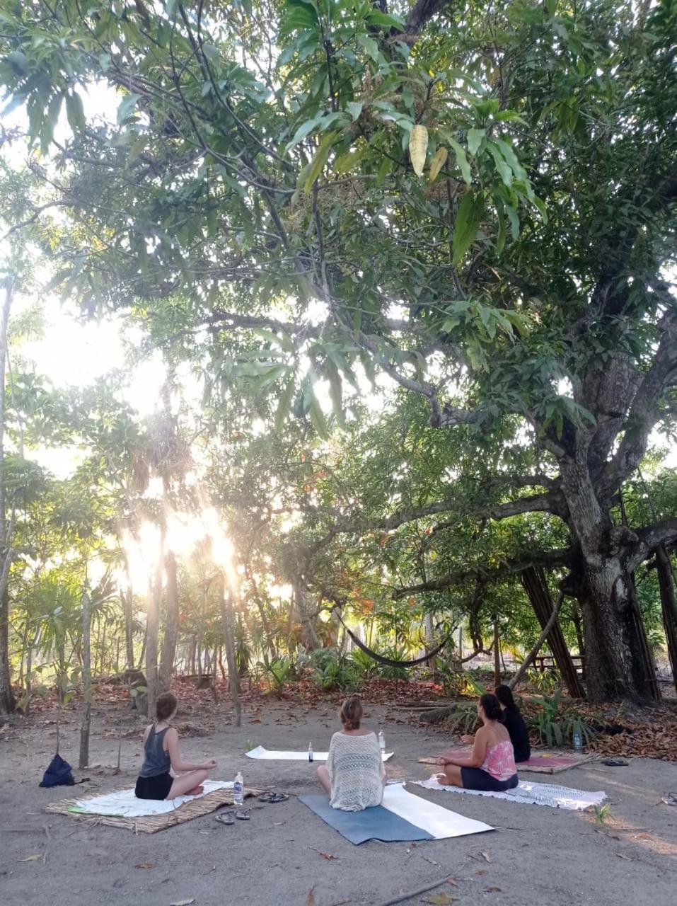 Eco-Camping Mango Feliz Rincon Del Mar San Onofre エクステリア 写真