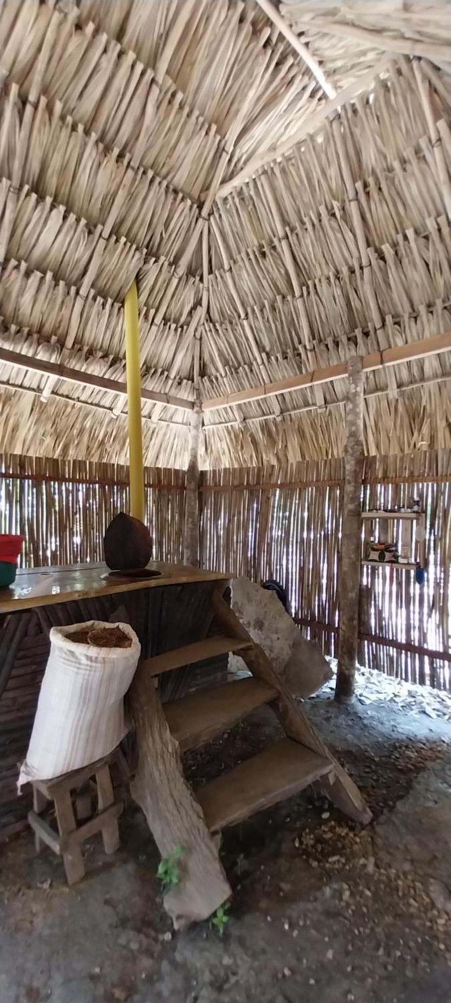 Eco-Camping Mango Feliz Rincon Del Mar San Onofre エクステリア 写真