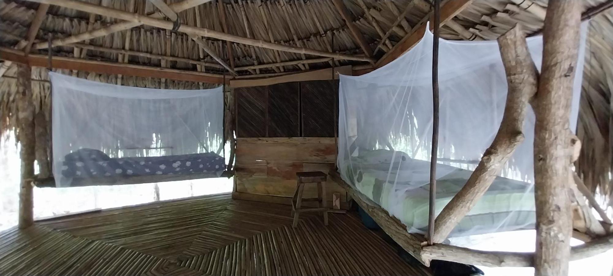 Eco-Camping Mango Feliz Rincon Del Mar San Onofre エクステリア 写真