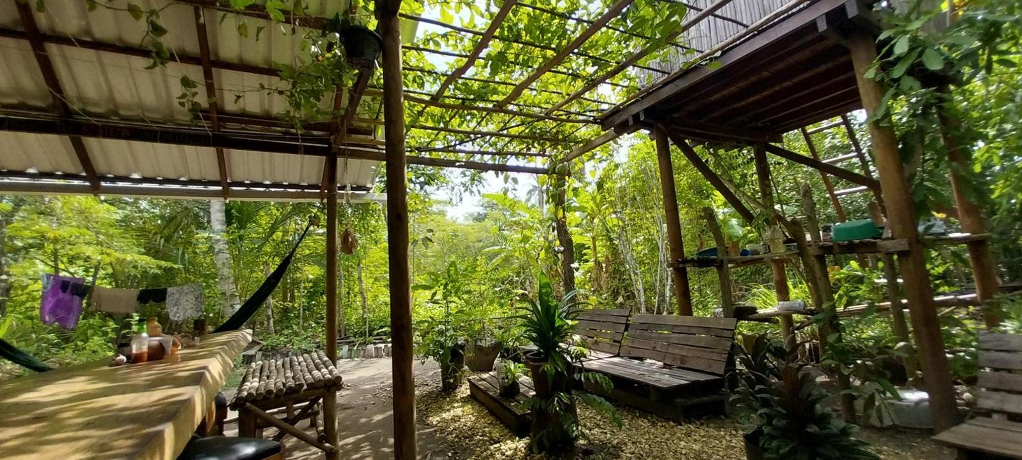 Eco-Camping Mango Feliz Rincon Del Mar San Onofre エクステリア 写真