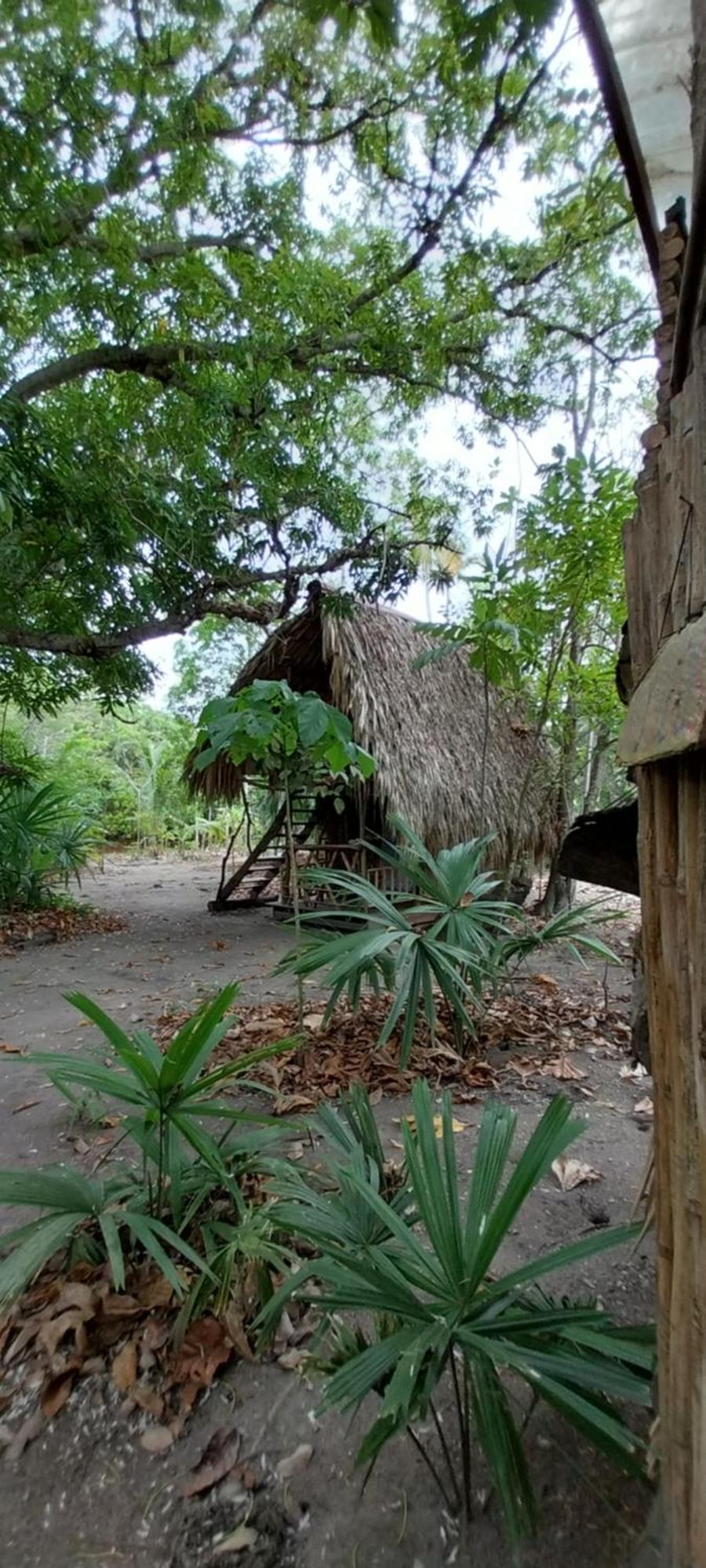Eco-Camping Mango Feliz Rincon Del Mar San Onofre エクステリア 写真