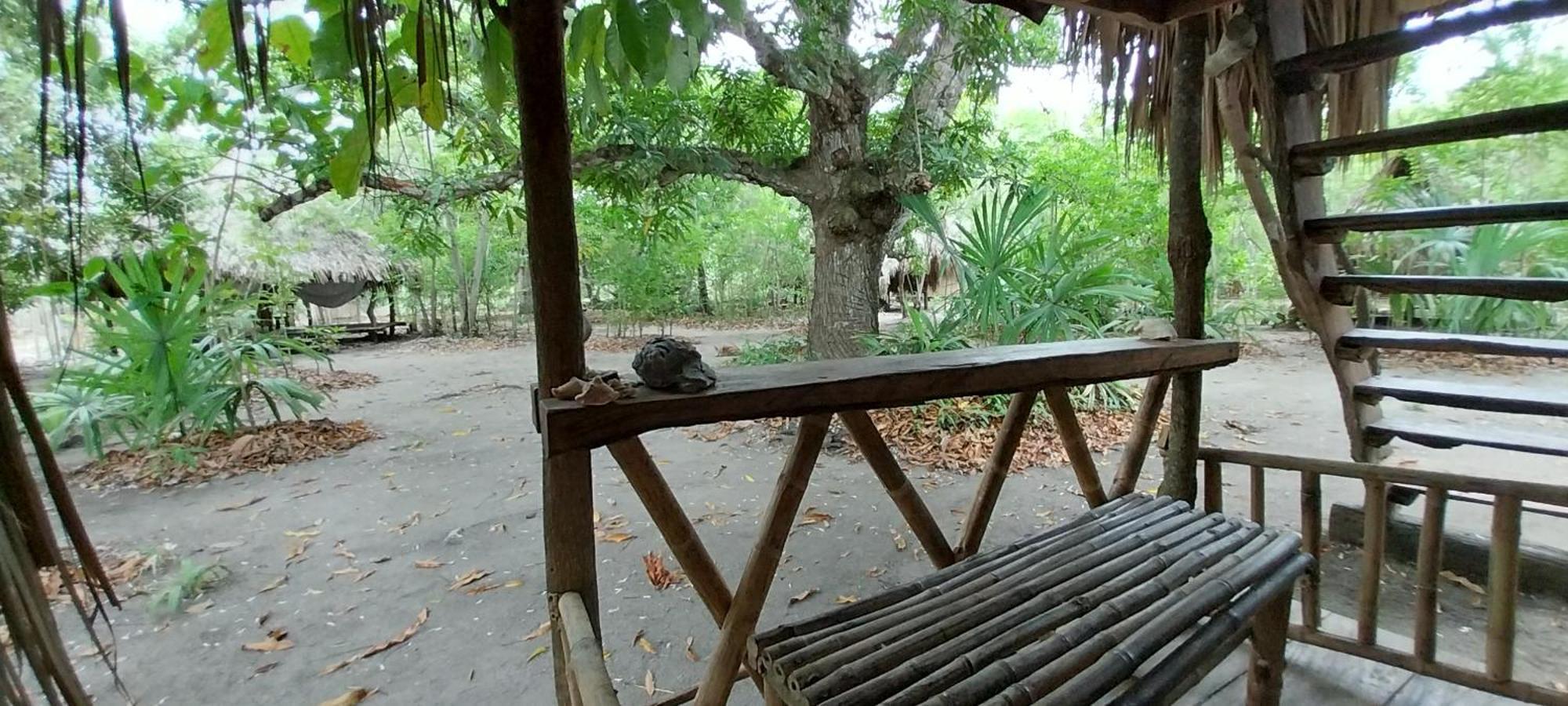Eco-Camping Mango Feliz Rincon Del Mar San Onofre エクステリア 写真
