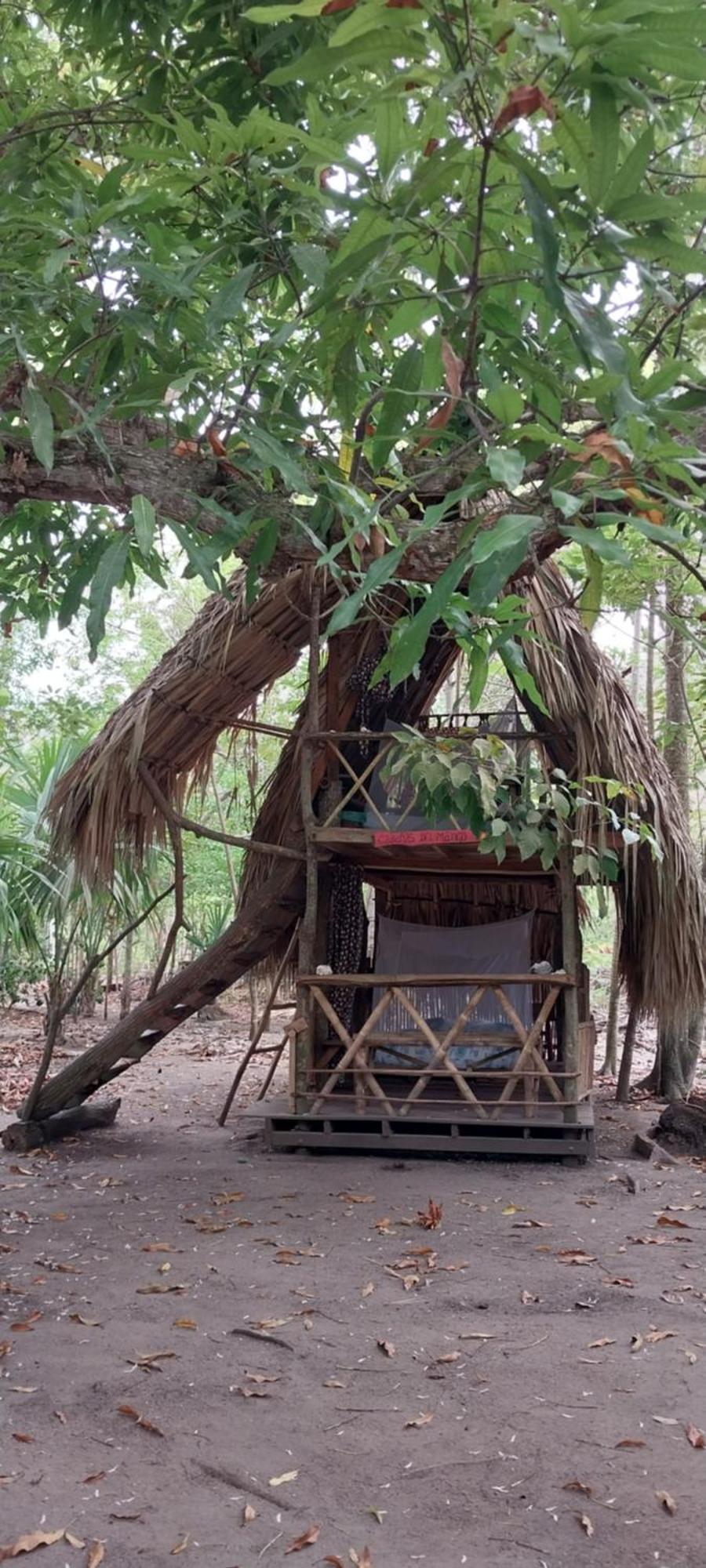 Eco-Camping Mango Feliz Rincon Del Mar San Onofre エクステリア 写真