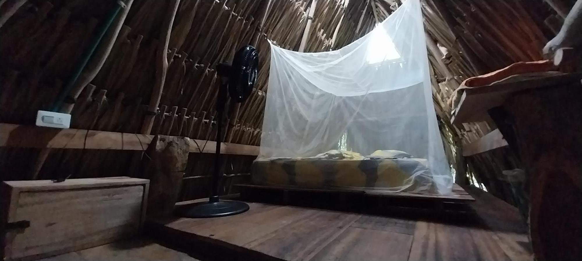 Eco-Camping Mango Feliz Rincon Del Mar San Onofre エクステリア 写真