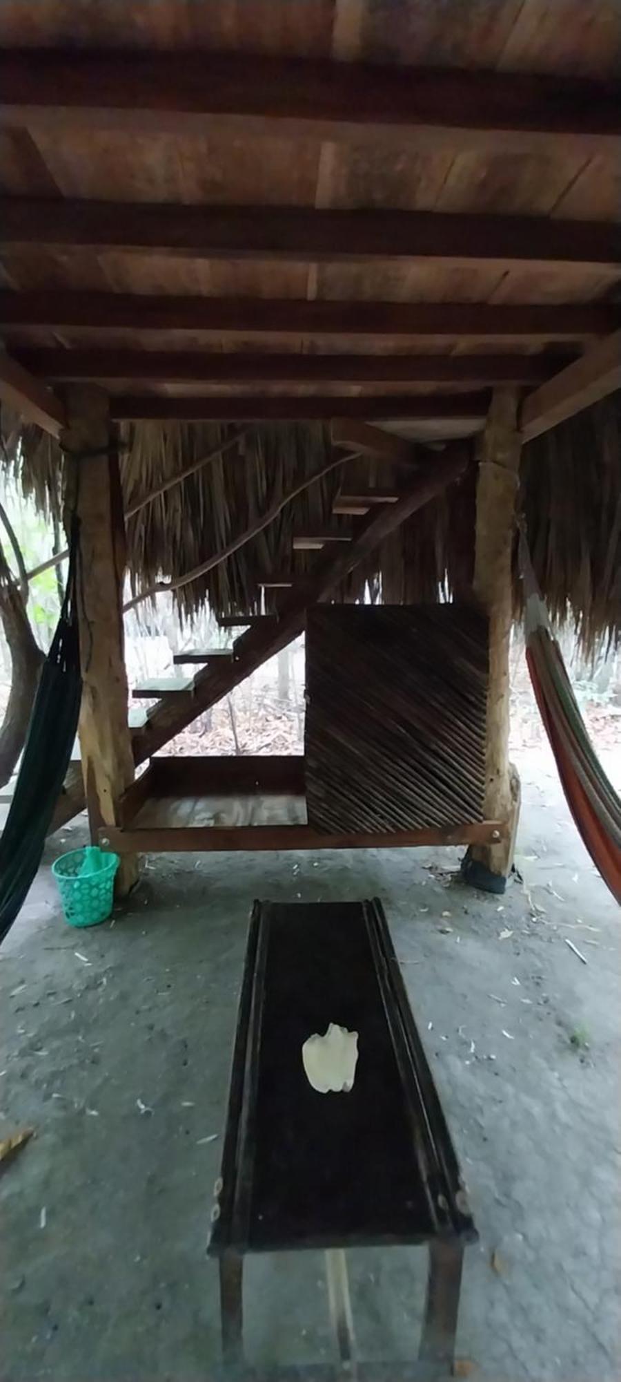 Eco-Camping Mango Feliz Rincon Del Mar San Onofre エクステリア 写真