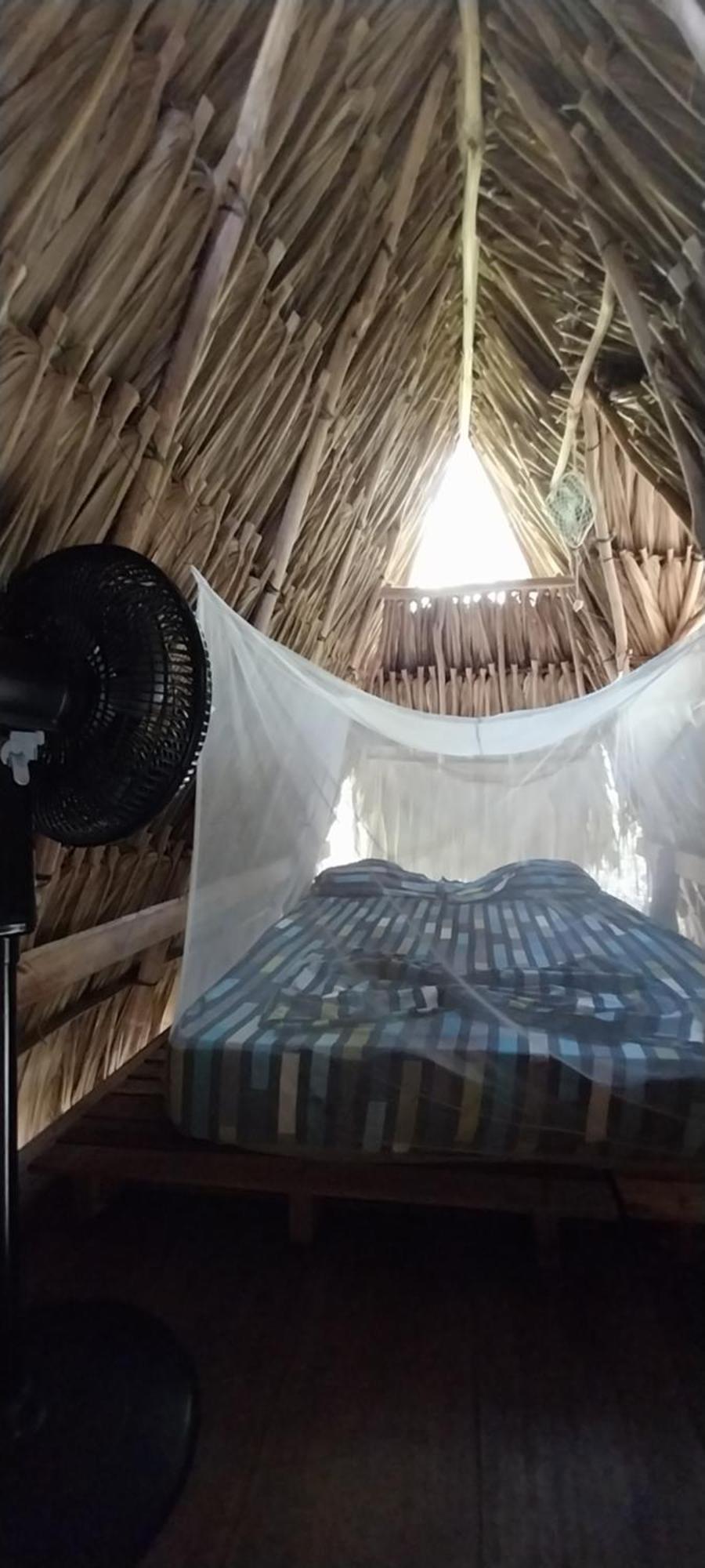 Eco-Camping Mango Feliz Rincon Del Mar San Onofre エクステリア 写真